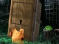 Game Forest escape