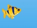 Game Cut through fish