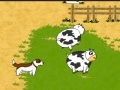 Game Piggy Cow