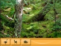 Game Jungle 2: Hidden objects