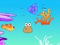 Game Pou Ocean Decorating
