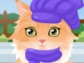 Game Kitty Groomer