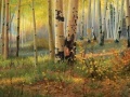 Game Hidden coins in the forest