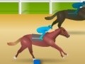 Game Jockey Star