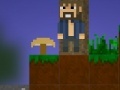 Game Minecraft - funny adventures