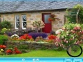 Game Cottage garden hidden alphabet