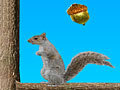 Game Acorn Toss