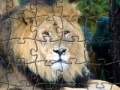 Game Lion