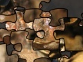 Game Puzzle of the American toad