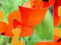 Game Oriental Poppy Jigsaw