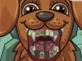 Game Pet Crazy Dentist