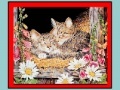 Game Art Kittens Jigsaw 2