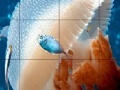 Game Mosaic jellyfish slide puzzle