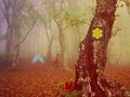 Game Fog forest escape