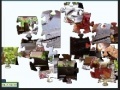 Game TeapotJigsaw