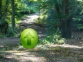 Game Puzzle forest escape
