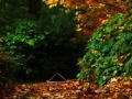 Game October escape