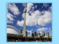 Game Toronto Jigsaw