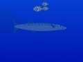 Game Barracuda attack