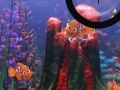 Game Finding Nemo hide and seek