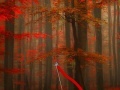 Game Hidden Target Red Forest