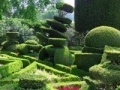 Game Hidden Target-Garden