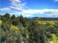 Game Theodore Roosevelt national park jigsaw