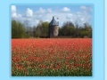 Game Holland jigsaw