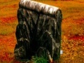 Game Fall graveyard escape