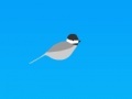 Game Trampoline chickadee