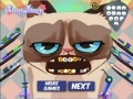 Game Grumpy cat. Dental care