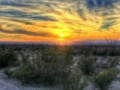 Game Big Bend Desert Jigsaw