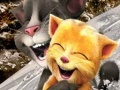 Game Talking Tom and Ginger Sledging