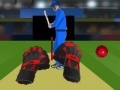Game Cricket tap catch