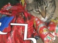 Game Jigsaw: Christmas Cat