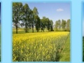 Game Spring Jigsaw 2