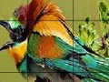 Game Two Amazing Bird Puzzle