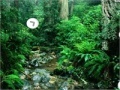 Game Escape from Amazon Forest