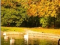 Game Jigsaw: Autumn Pond