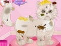 Game Persian cat princess spa salon