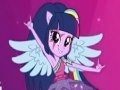 Game Equestria Girls: Puzzles with Twilight Sparkle