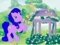 Game My Little Pony: Ponyville Forever