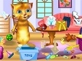 Game Ginger: Cleaning House