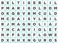 Game Word Search