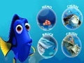 Game Dory's Memory 