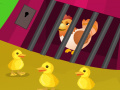 Game Pullet escape