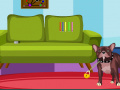 Game Dexter Dog Escape