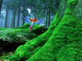 Game Birds Forest Escape