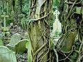 Game Highgate Cemetery Escape