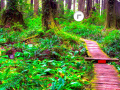 Game Spring Forest Escape
